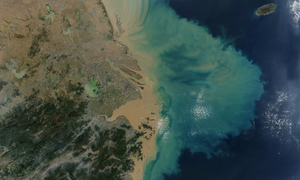 Biến đổi khí hậu: Nhiệt độ đại dương tăng cao kỷ lục